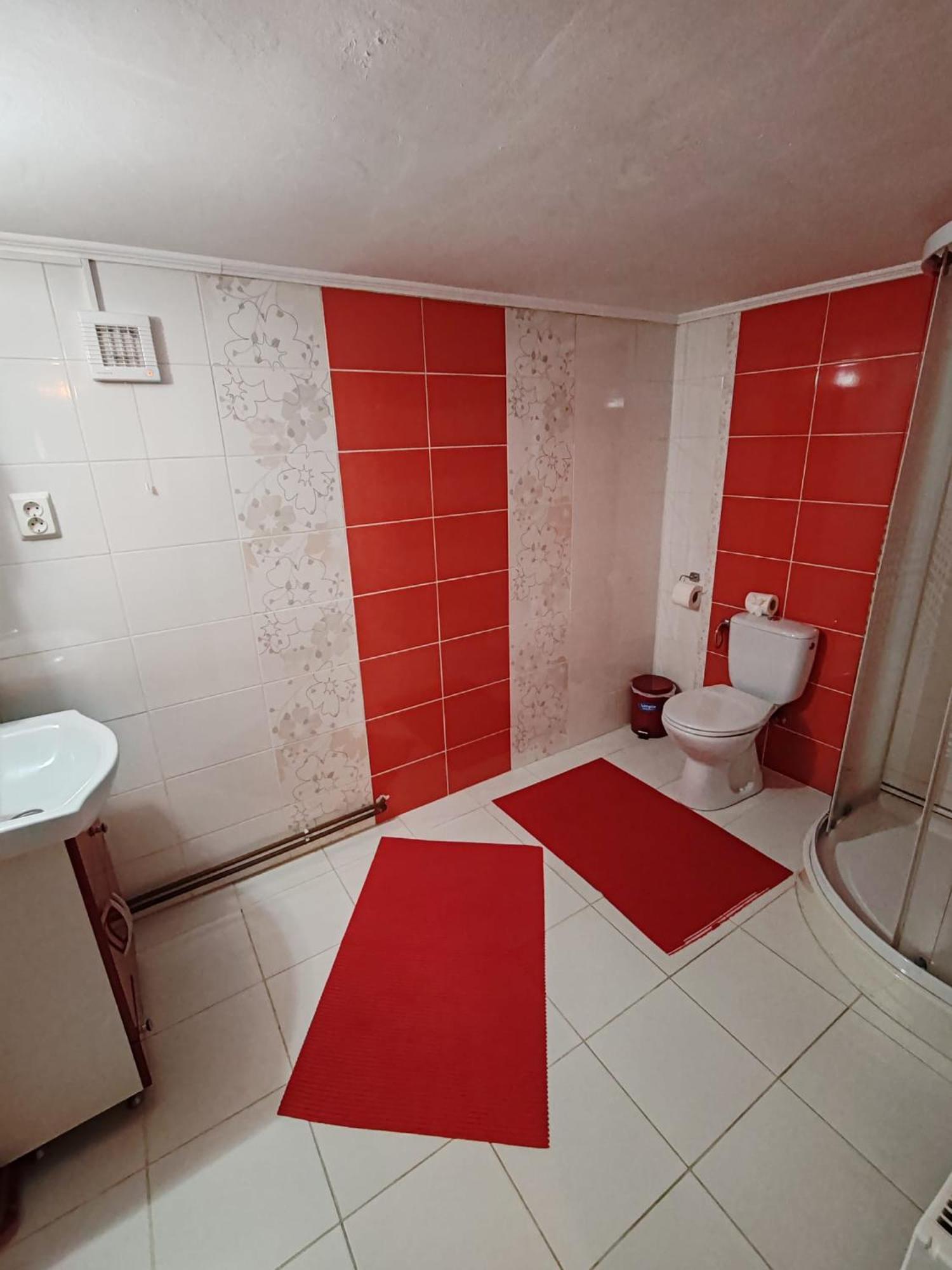 Hotel Casa Alex à Topliţa Extérieur photo